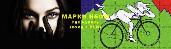 сатива Михайлов