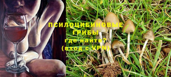 apvp Михайловск