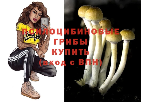 синтетический гашиш Михайловка